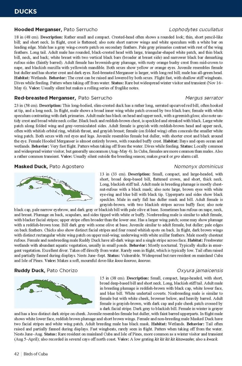 Field Guide to the Birds of Cuba 9781399421928 Arturo Kirkconnell, Orlando H. Garrido Bloomsbury Publishing PLC Field Guides Natuurgidsen, Vogelboeken Cuba Field Guide to the Birds of Cuba 9781399421928 Arturo Kirkconnell, Orlando H. Garrido Bloomsbury Publishing PLC Field Guides Natuurgidsen, Vogelboeken Cuba