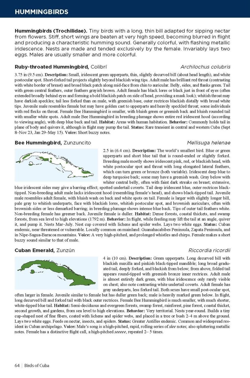 Field Guide to the Birds of Cuba 9781399421928 Arturo Kirkconnell, Orlando H. Garrido Bloomsbury Publishing PLC Field Guides Natuurgidsen, Vogelboeken Cuba Field Guide to the Birds of Cuba 9781399421928 Arturo Kirkconnell, Orlando H. Garrido Bloomsbury Publishing PLC Field Guides Natuurgidsen, Vogelboeken Cuba