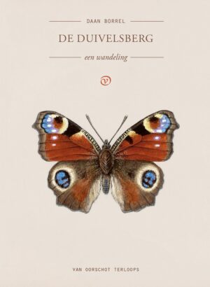 De Duivelsberg | Daan Borrel 9789028252103 Daan Borrel Van Oorschot Terloops  Reisverhalen & literatuur Nijmegen en het Rivierengebied