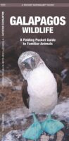Galapagos Wildlife 9781583550816  Waterford Press   Natuurgidsen Ecuador, Galapagos