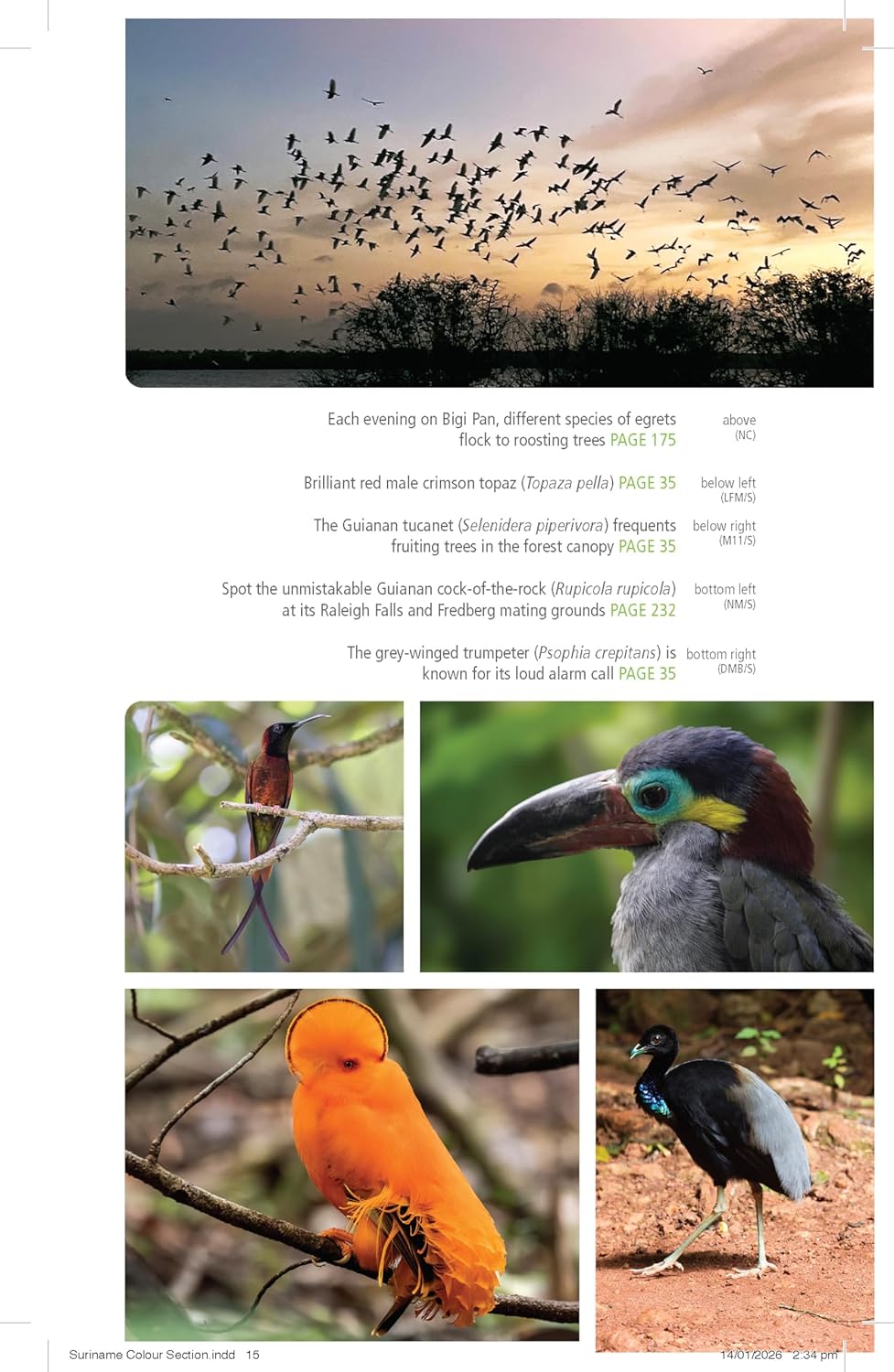 reisgids Suriname (Bradt) 9781804693506 Bradt Reisgidsen Suriname, Frans en Brits Guyana reisgids Suriname (Bradt) 9781804693506 Bradt Reisgidsen Suriname, Frans en Brits Guyana