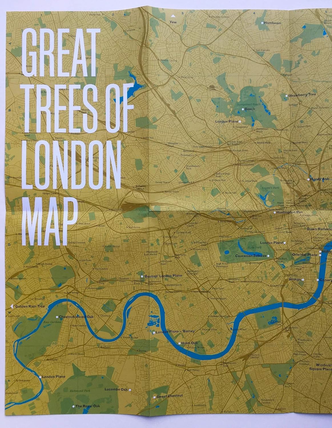 Great Trees of London Map 9781912018765 Wood, Paul Blue Crow Media Blue Crow Architecture Maps Landkaarten en wegenkaarten Londen Great Trees of London Map 9781912018765 Wood, Paul Blue Crow Media Blue Crow Architecture Maps Landkaarten en wegenkaarten Londen