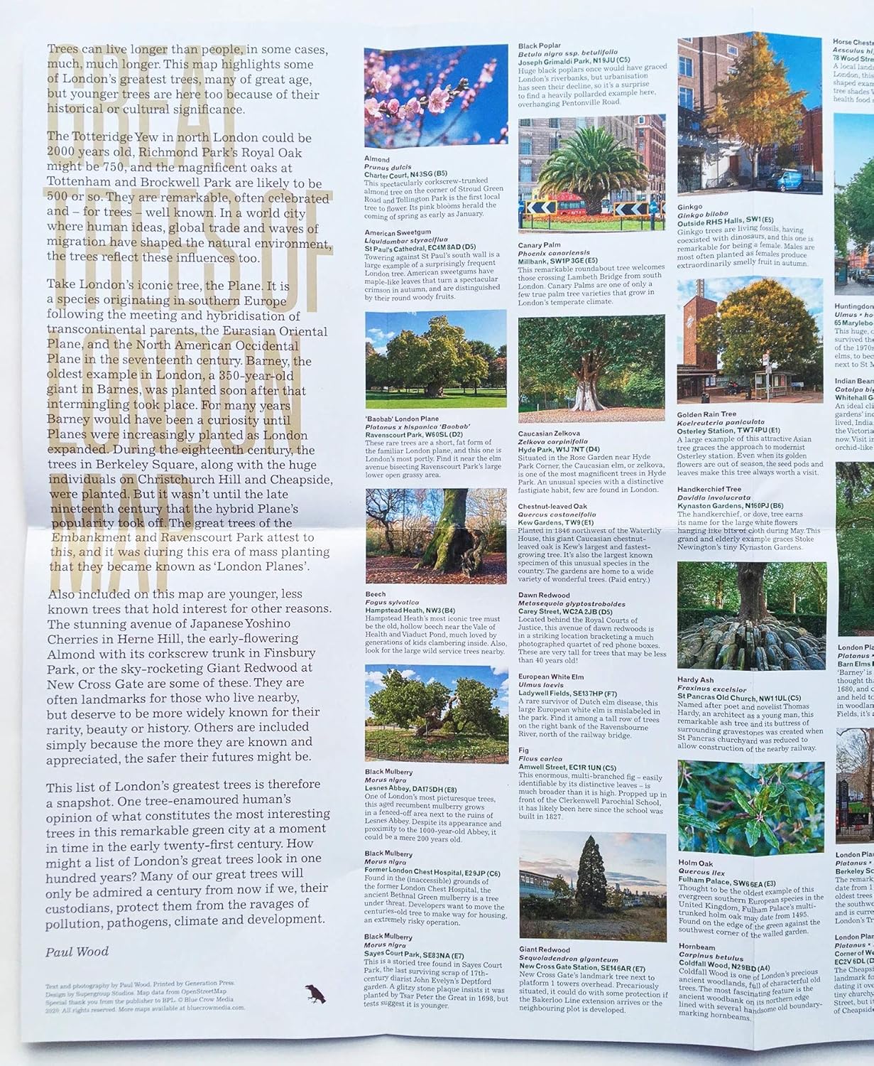Great Trees of London Map 9781912018765 Wood, Paul Blue Crow Media Blue Crow Architecture Maps Landkaarten en wegenkaarten Londen Great Trees of London Map 9781912018765 Wood, Paul Blue Crow Media Blue Crow Architecture Maps Landkaarten en wegenkaarten Londen