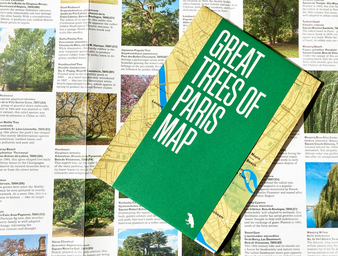 Great Trees of Paris Map 9781912018796 Kupec Larue, Amy & Moinard, Barnabe Blue Crow Media Blue Crow Architecture Maps Landkaarten en wegenkaarten Parijs, Île-de-France Great Trees of Paris Map 9781912018796 Kupec Larue, Amy & Moinard, Barnabe Blue Crow Media Blue Crow Architecture Maps Landkaarten en wegenkaarten Parijs, Île-de-France