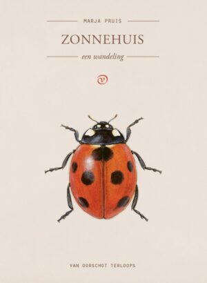Zonnehuis | Marja Pruis 9789028264137 Marja Pruis Van Oorschot Terloops  Reisverhalen & literatuur Amsterdam