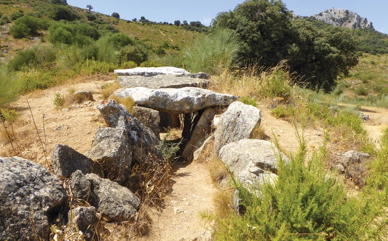The Mountains of Ronda and Grazalema 9781786312433 Cicerone Press Wandelgidsen Cádiz, Costa de la Luz, Huelva, Prov. Málaga & Granada, Grazalema, Sierra Nevada The Mountains of Ronda and Grazalema 9781786312433 Cicerone Press Wandelgidsen Cádiz, Costa de la Luz, Huelva, Prov. Málaga & Granada, Grazalema, Sierra Nevada