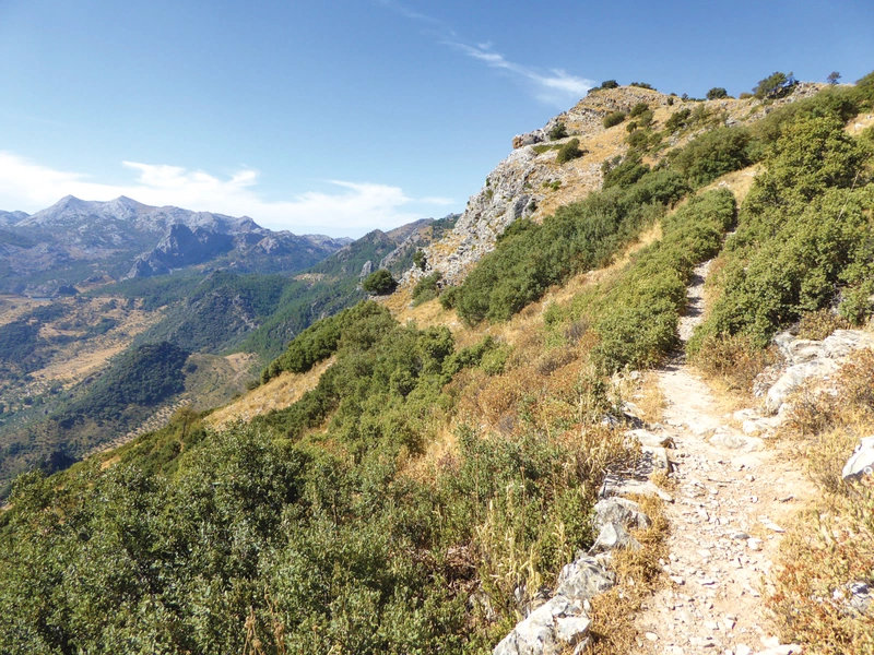 The Mountains of Ronda and Grazalema 9781786312433 Cicerone Press Wandelgidsen Cádiz, Costa de la Luz, Huelva, Prov. Málaga & Granada, Grazalema, Sierra Nevada The Mountains of Ronda and Grazalema 9781786312433 Cicerone Press Wandelgidsen Cádiz, Costa de la Luz, Huelva, Prov. Málaga & Granada, Grazalema, Sierra Nevada