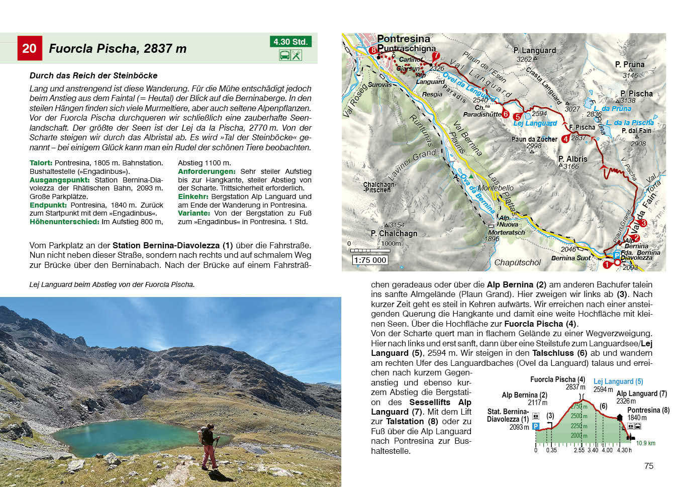 wandelgids Oberengadin Rother Wanderführer 9783763314683 Bergverlag Rother RWG Wandelgidsen Graubünden wandelgids Oberengadin Rother Wanderführer 9783763314683 Bergverlag Rother RWG Wandelgidsen Graubünden