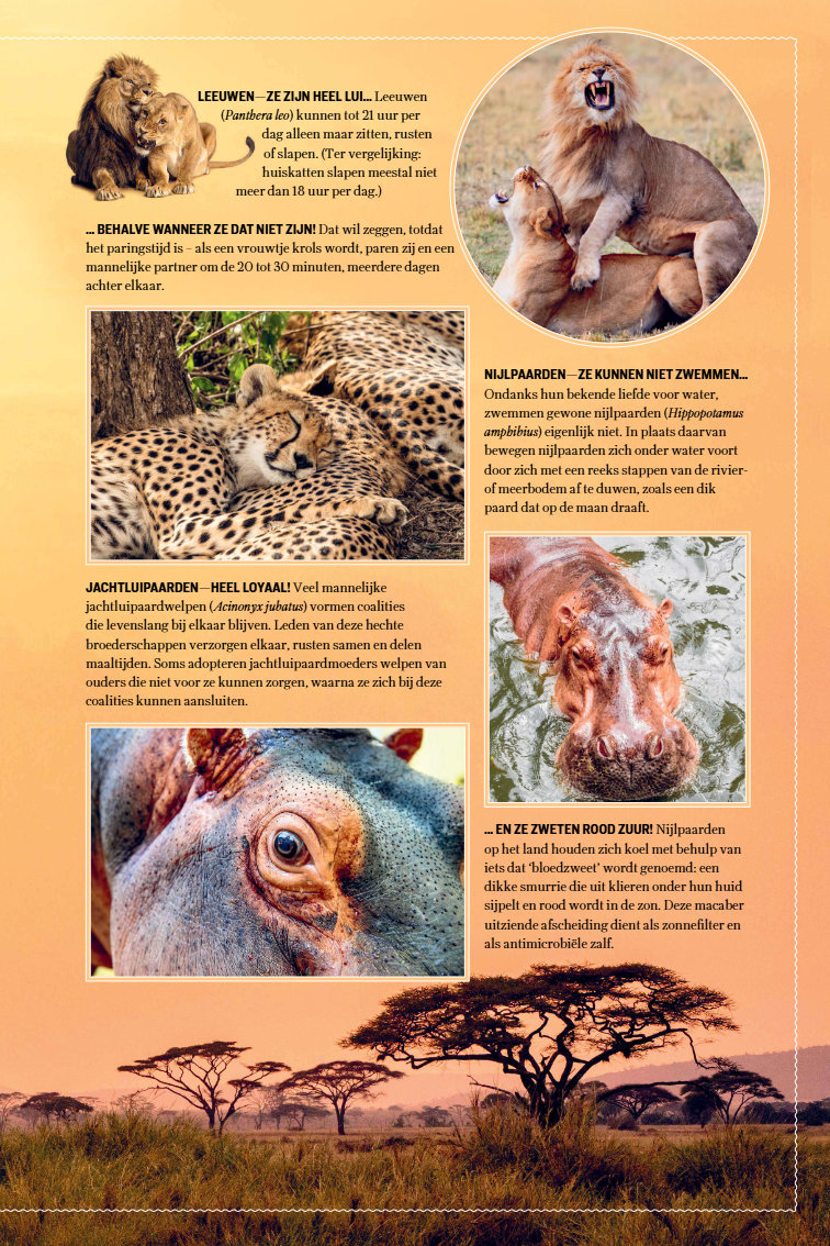 Atlas Obscura Wildlife 9789020951912 Cara Giaimo Lannoo Natuurgidsen Wereld als geheel Atlas Obscura Wildlife 9789020951912 Cara Giaimo Lannoo Natuurgidsen Wereld als geheel