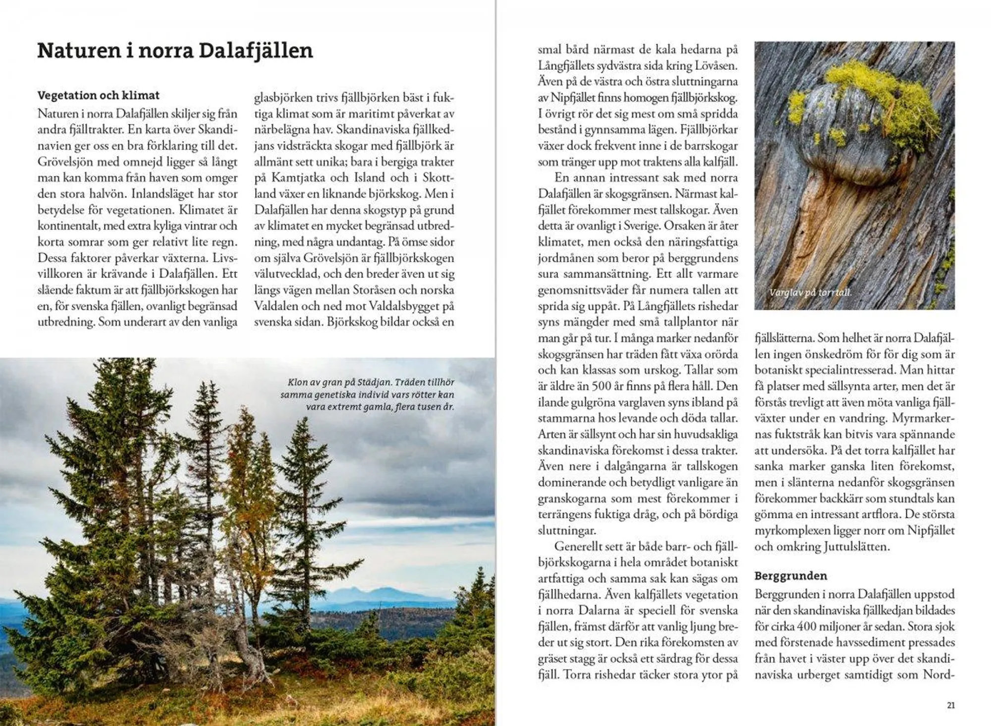 Fjällvandra kring Grövelsjön 9789189079151 Calazo Calazo Zweden midden Wandelgidsen Midden Zweden Fjällvandra kring Grövelsjön 9789189079151 Calazo Calazo Zweden midden Wandelgidsen Midden Zweden