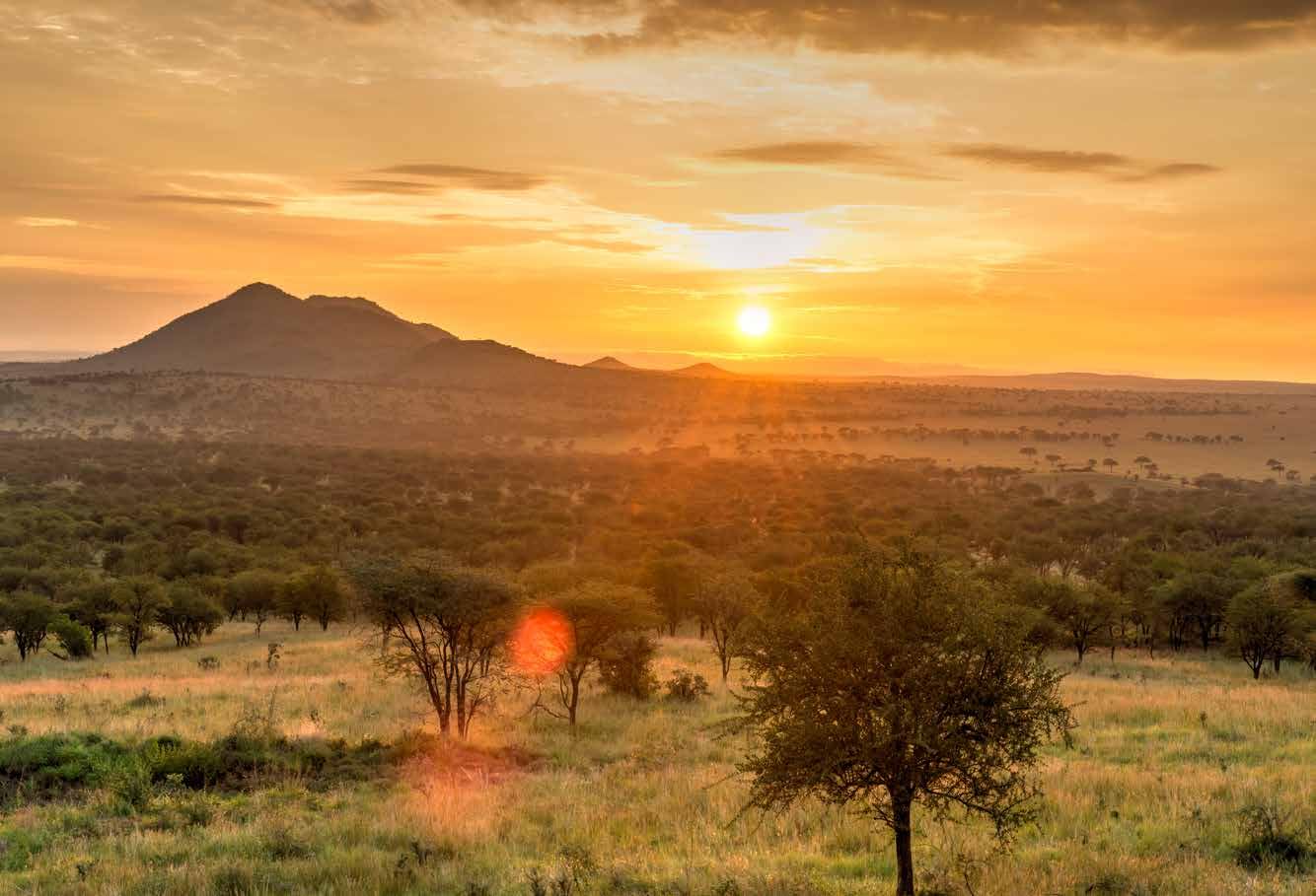 150 National Parks You Need to Visit Before You Die 9789401419703 Bailey Rae Berg Lannoo Reisgidsen Wereld als geheel 150 National Parks You Need to Visit Before You Die 9789401419703 Bailey Rae Berg Lannoo Reisgidsen Wereld als geheel
