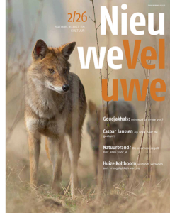 tijdschrift Nieuwe Veluwe | zomer 2026 TNV262  Nieuwe Veluwe Tijdschriften  Landeninformatie Arnhem en de Veluwe