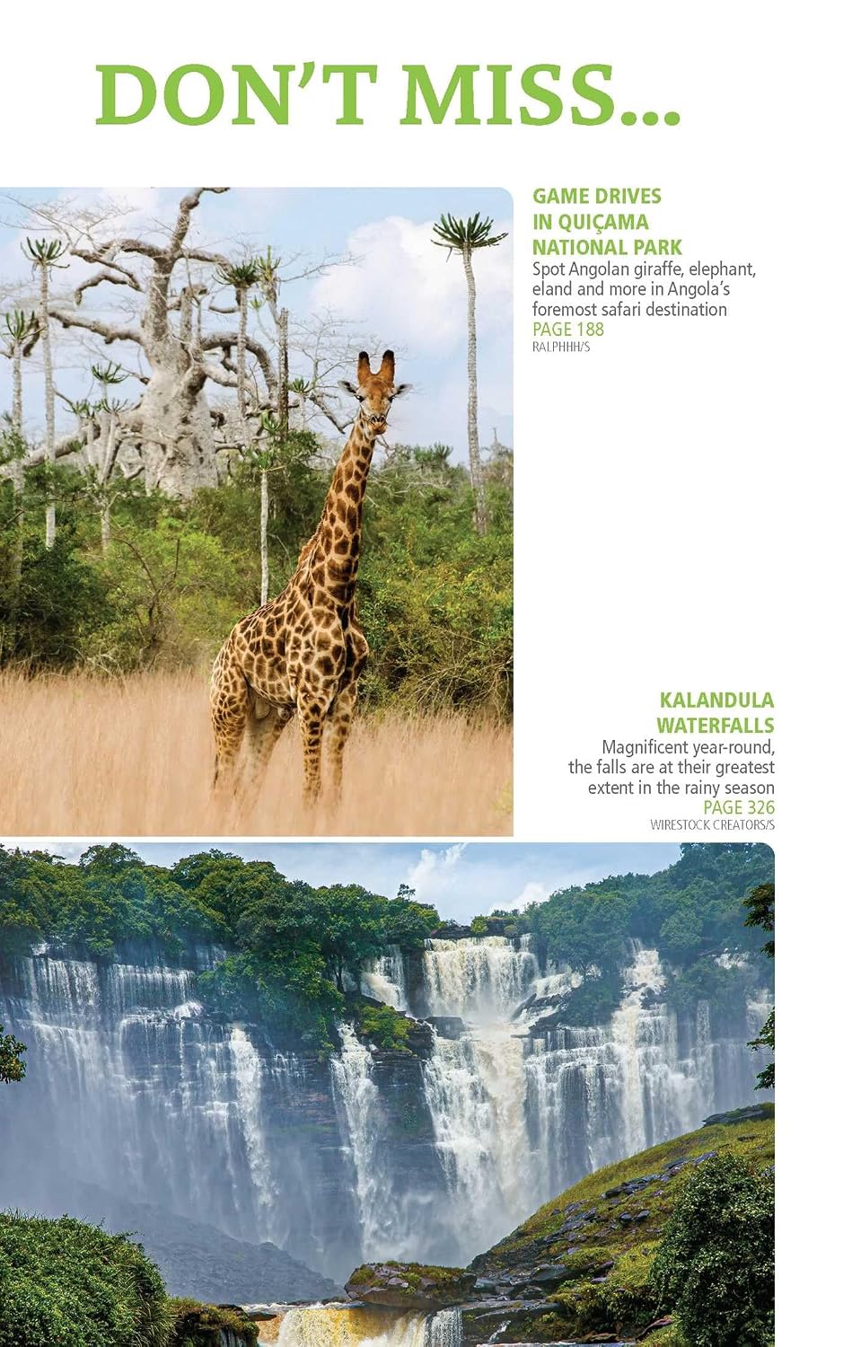reisgids Angola (Bradt) 9781804693599 Bradt Reisgidsen Angola, Zimbabwe, Zambia, Mozambique, Malawi reisgids Angola (Bradt) 9781804693599 Bradt Reisgidsen Angola, Zimbabwe, Zambia, Mozambique, Malawi
