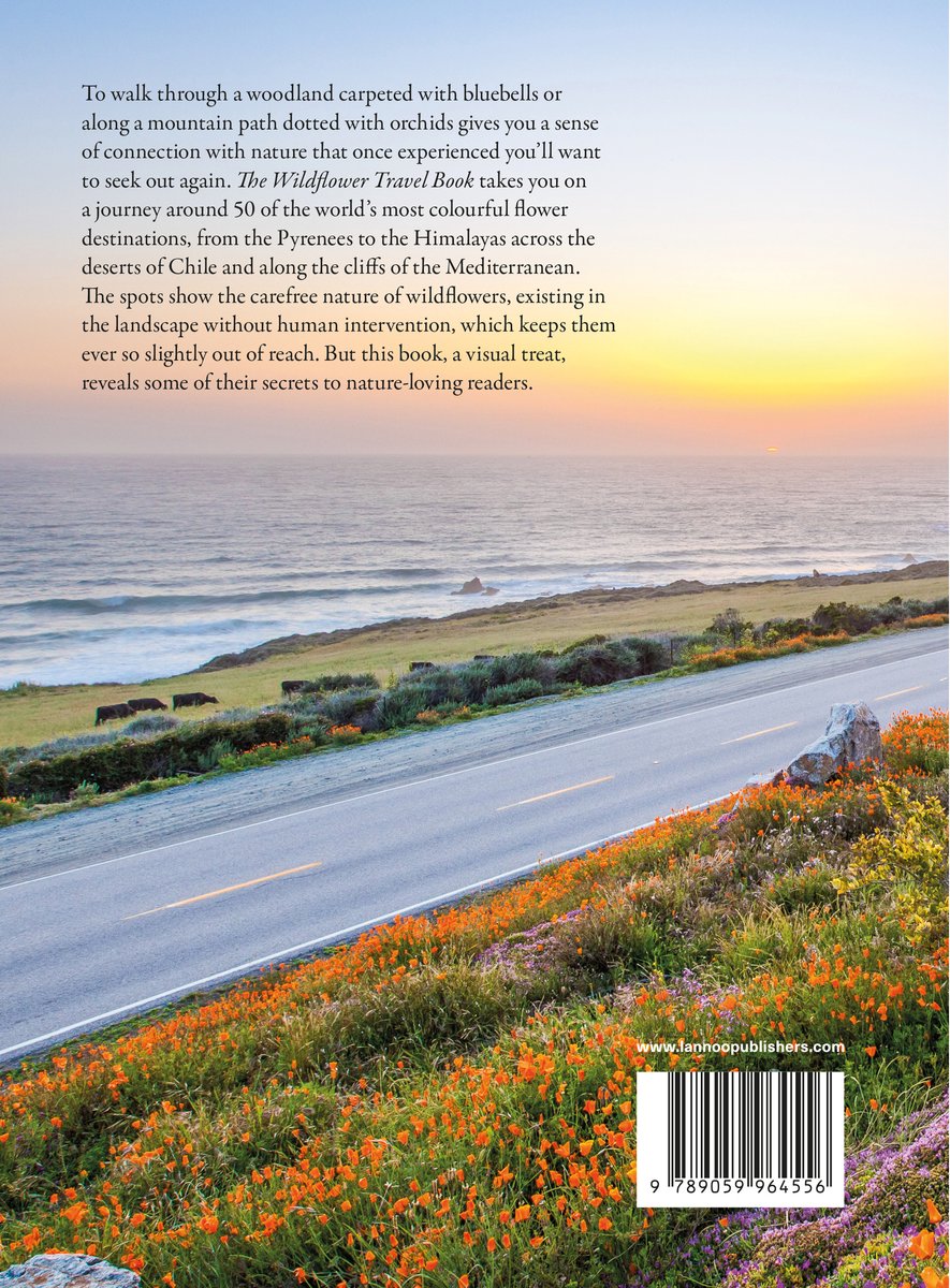 The Wildflower Travel Book 9789059964556 Caroline Kamp Lannoo Reisgidsen Wereld als geheel The Wildflower Travel Book 9789059964556 Caroline Kamp Lannoo Reisgidsen Wereld als geheel