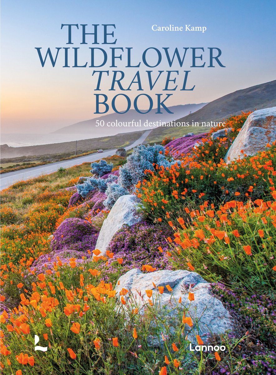 The Wildflower Travel Book 9789059964556 Caroline Kamp Lannoo Reisgidsen Wereld als geheel The Wildflower Travel Book 9789059964556 Caroline Kamp Lannoo Reisgidsen Wereld als geheel