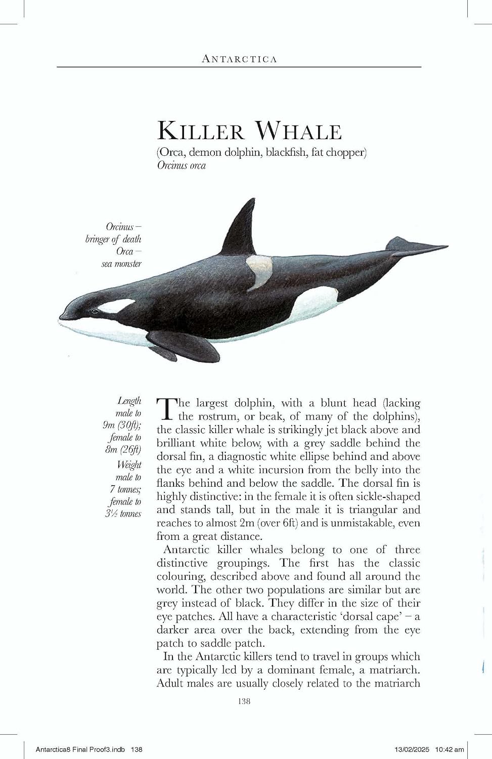 Antarctica Wildlife 9781804692677 Soper Bradt Wildlife Guides Natuurgidsen Antarctica Antarctica Wildlife 9781804692677 Soper Bradt Wildlife Guides Natuurgidsen Antarctica