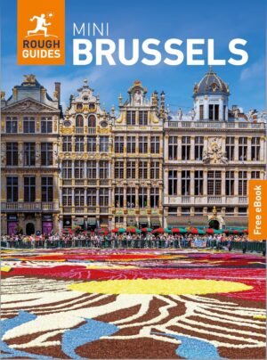 The Mini Rough Guide to Brussels 9781835292044  Rough Guide Pocket Rough Guides  Reisgidsen Brussel