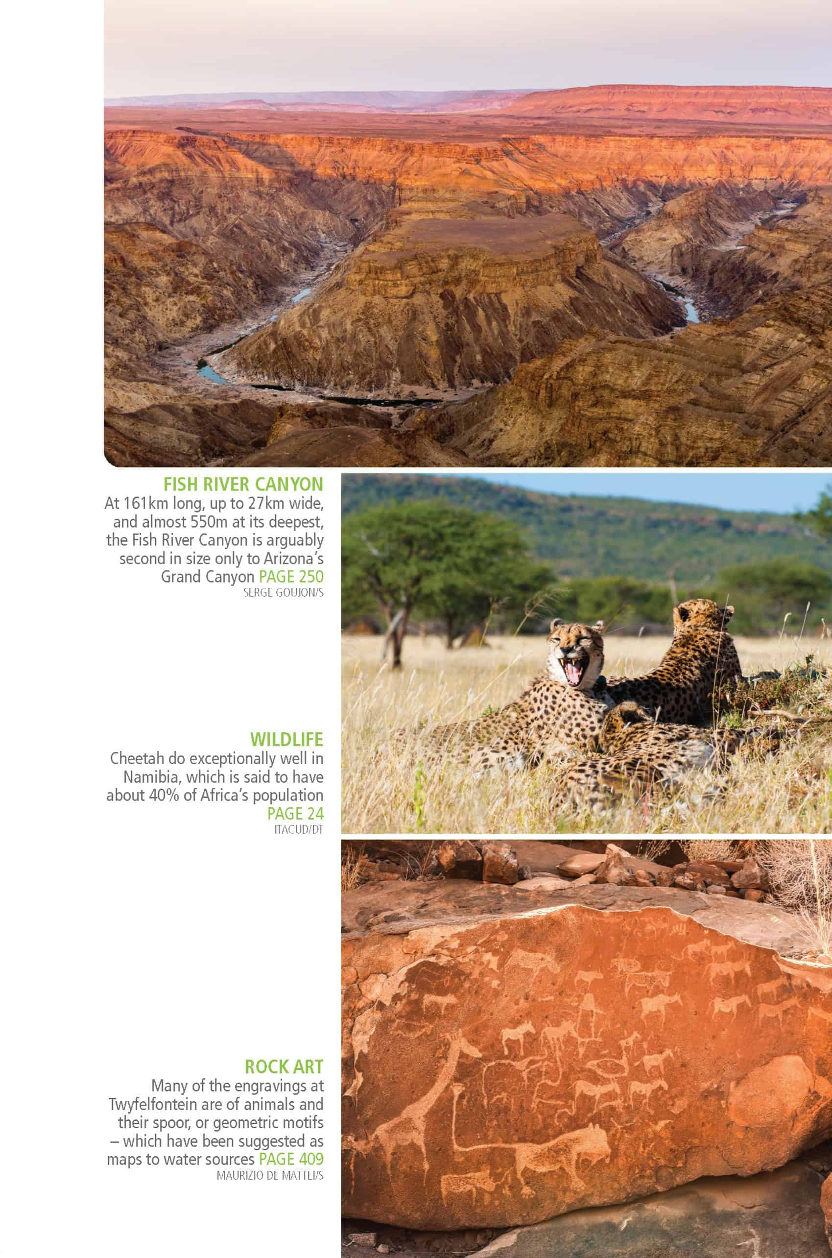 reisgids Namibië | Namibia (Bradt) 9781804692950 Bradt Reisgidsen Namibië reisgids Namibië | Namibia (Bradt) 9781804692950 Bradt Reisgidsen Namibië