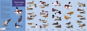 Natuurwijzer Watervogels 310001 Jasper de Ruiter Tringa Natuurwijzers  Natuurgidsen, Vogelboeken Europa