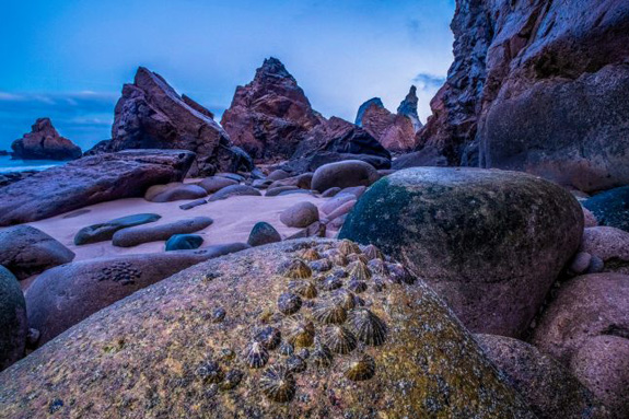 Shaped by the Sea | fotoboek Theo Bosboom 9789081947367 Theo Bosboom Door de Bomen Fotoboeken Europa, Zeeën en oceanen Shaped by the Sea | fotoboek Theo Bosboom 9789081947367 Theo Bosboom Door de Bomen Fotoboeken Europa, Zeeën en oceanen