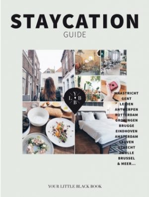 Staycation Guide | Anne de Buck 9789089897695 Anne de Buck Terra   Reisgidsen Benelux